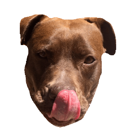 tongue lick STICKER by imoji