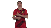 Borussia Dortmund Goal Sticker by Royal Belgian FA