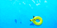 frozen GIF