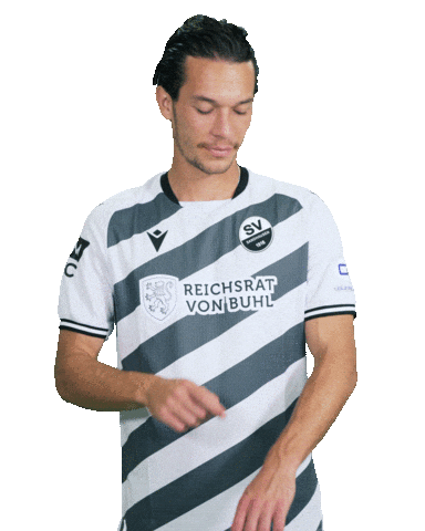 3Liga Sticker by SV Sandhausen