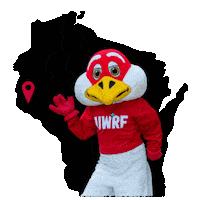 Map Wisconsin Sticker by UW-River Falls