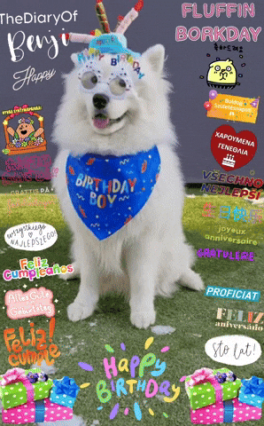 Benji Barkday GIF