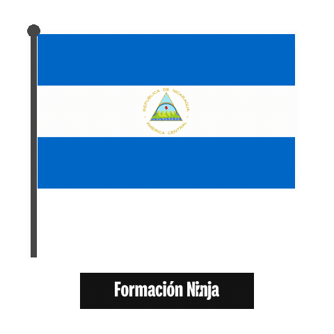 Flag Bandera Sticker by Formación Ninja