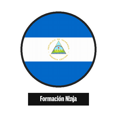 Flag Bandera Sticker by Formación Ninja