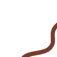 Waves Border Sticker