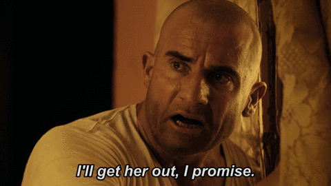 fox GIF by Prison Break