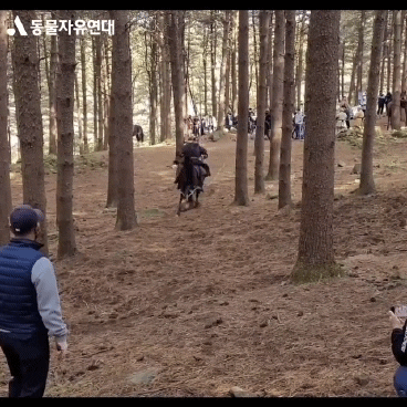 amirm348e6408bca442178701d7f9bf4a4967 giphyupload GIF