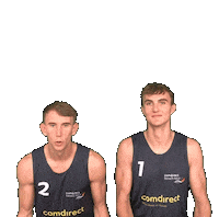 Swipe Sticker by German Volleyball Federation
