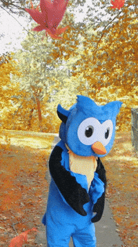 Halloween Celebrate GIF by Middlesex Community College