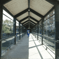 Back To School GIF by Middlesex Community College
