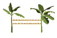 Diwali Assam Sticker by NEST by Arpit Agarwal