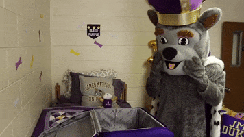 Travel College GIF by James Madison University