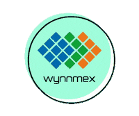 Technology Empresa Sticker by WynnmexTech