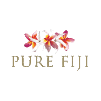 purefiji skincare coconut oil fii pure fiji Sticker