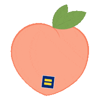 HumanRightsCampaign lgbt lgbtq peach georgia Sticker