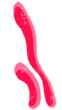 cbartlett worm background wiggle effects Sticker