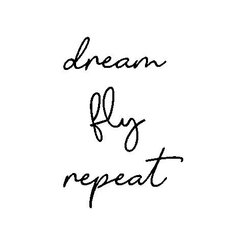 Fly Dream Sticker by Marianela Gette