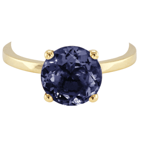 Gold Ring Sticker by The SISS BLISS