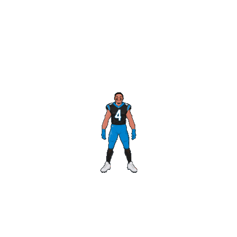 Keep Pounding Carolina Panthers Sticker by SportsManias