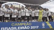 GIF by Confederação Brasileira de Futebol