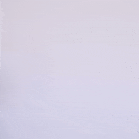 Texas Tech Ncaa GIF by Texas Tech Baseball