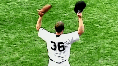 Celebrate Perfect Game GIF by YES Network