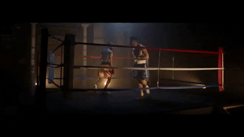 michael-blume giphygifmaker ring gender boxers GIF