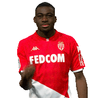 Ligue 1 Football Sticker by AS Monaco