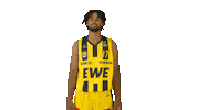 Ewe Baskets Basketball Sticker by EWE Baskets Oldenburg