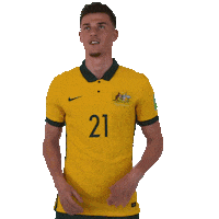 Ajdin Hrustic Sticker by Football Australia