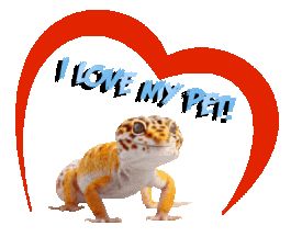 Guinea Pig Love Sticker