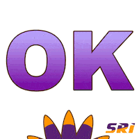 Ok Sticker by SRI_Experience