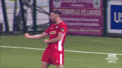 Celebration GIF by Cliftonville Football Club