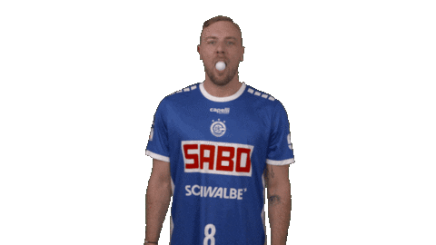 Handball-Bundesliga Sport Sticker by LIQUI MOLY HBL