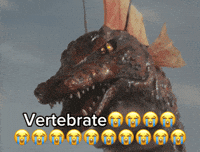 Son Godzilla GIF