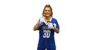 College Sports Fun Sticker by Delaware Blue Hens