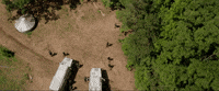 insurgent GIF by The Divergent Series