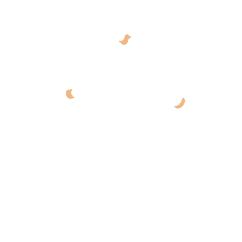 Saudi Arabia Flag Sticker by Babyshop Arabia