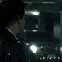 Film Streaming GIF by Raven Banner Entertainment