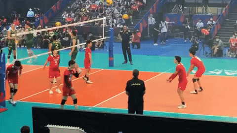 Sport Synchronize GIF by Volleyball World