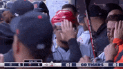 Home Run Win GIF by Bally Sports Detroit