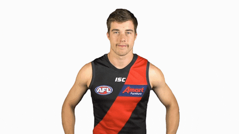 essendonfc giphyupload dons bombers essendon GIF