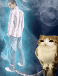 Cat Chain GIF