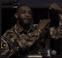 Aljamain Sterling Sport GIF by UFC