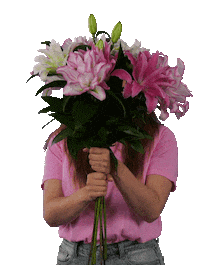 ByDecorum flowers plants bloemen westland Sticker