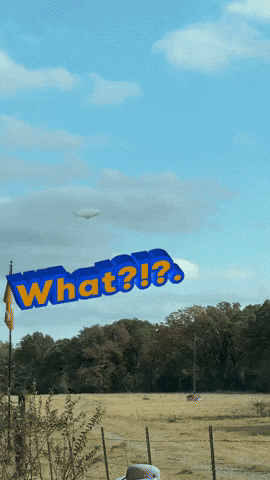 Blimp What GIF