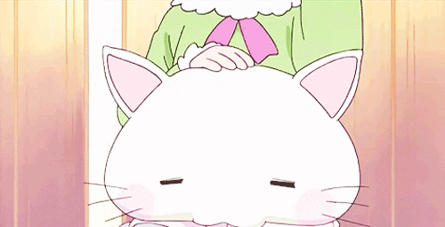 anime cat GIF