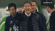 Head Coach No GIF by VfL Wolfsburg