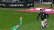 Football Stretching GIF by SV Werder Bremen