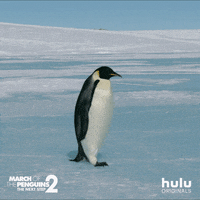 march of the penguins walk GIF by HULU